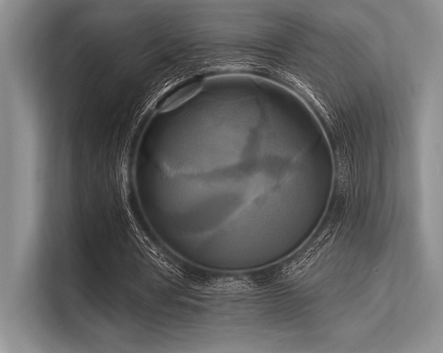 X0000113300386200909211126