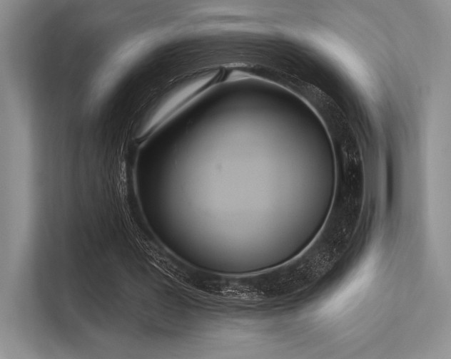 X0000113300387200909211126