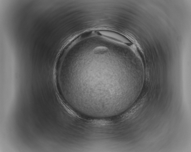 X0000113300389200909211126