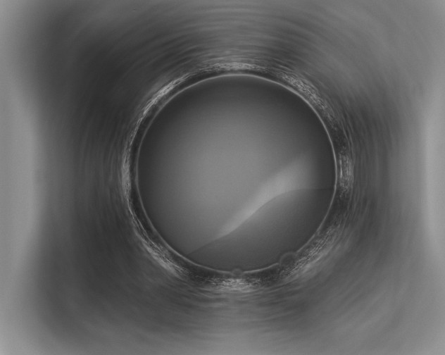 X0000113300390200909211126