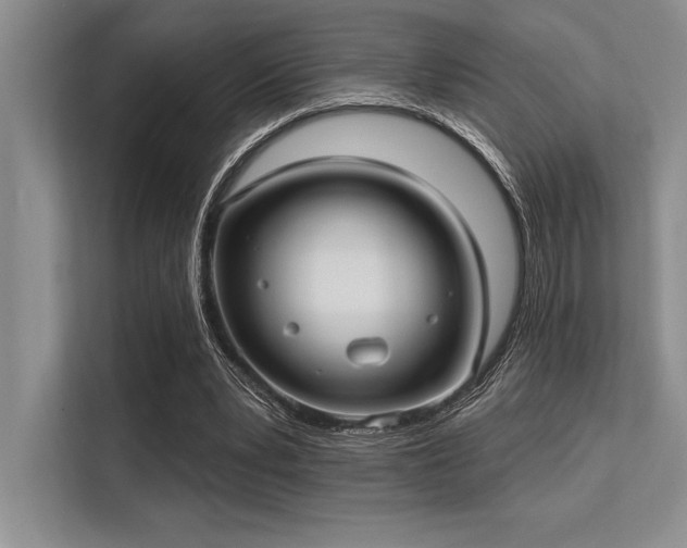 X0000113300391200909211126