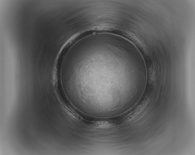 X0000113300392200909211126