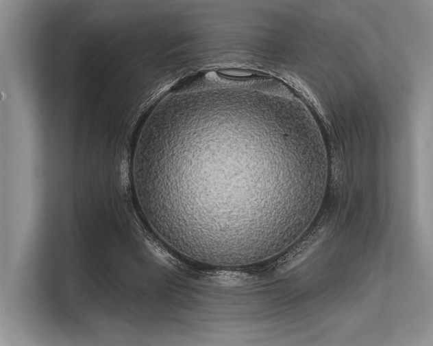 X0000113300393200909211126