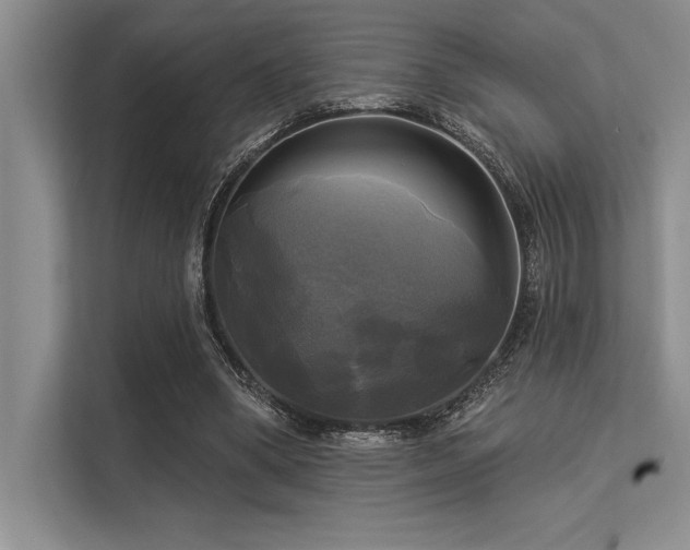 X0000113300394200909211126