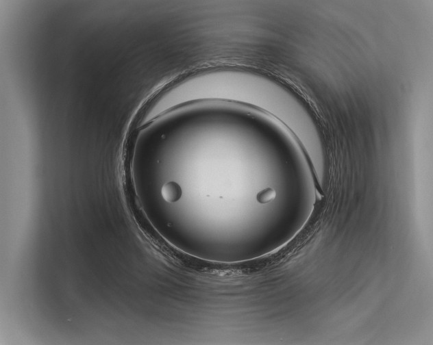 X0000113300395200909211126