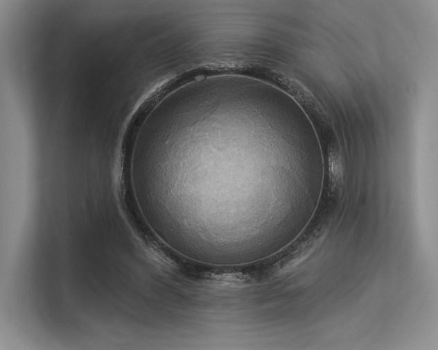 X0000113300396200909211126