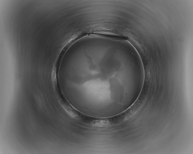 X0000113300398200909211125