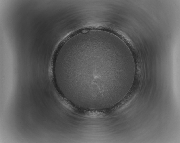 X0000113300399200909211125