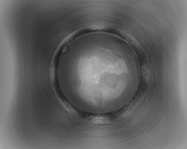 X0000113300400200909211125