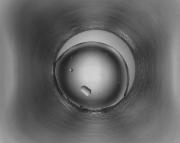 X0000113300401200909211125