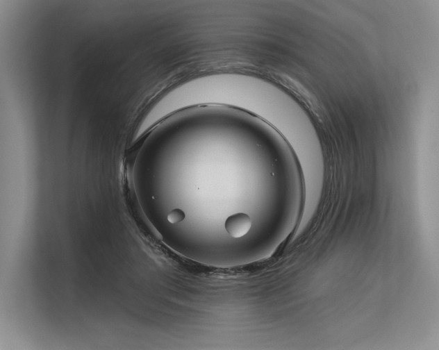 X0000113300405200909211125