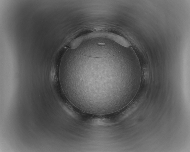 X0000113300408200909211125