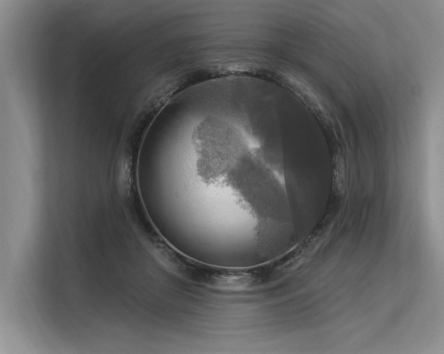 X0000113300410200909211125