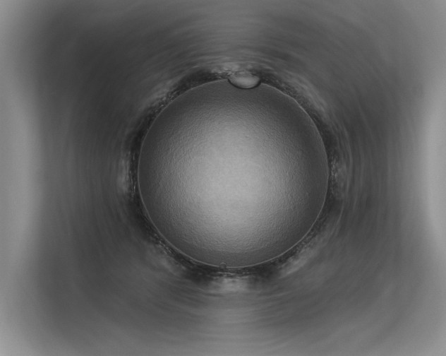 X0000113300416200909211125