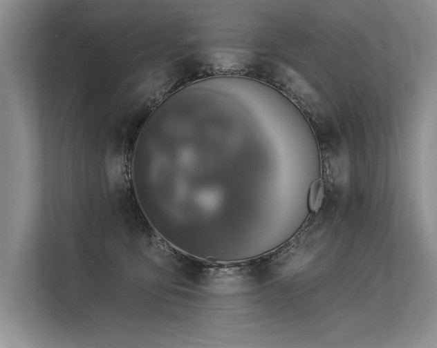 X0000113300419200909211125