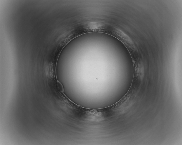 X0000113300421200909211125