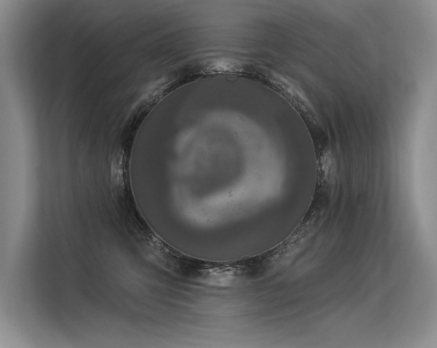 X0000113300423200909211125