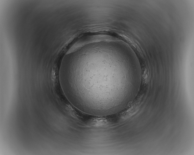 X0000113300424200909211125