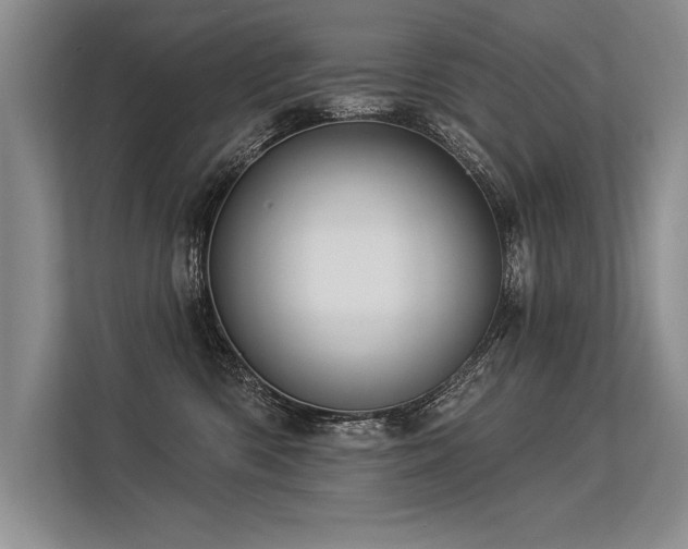 X0000113300426200909211125