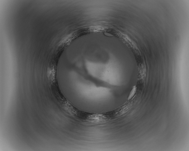 X0000113300427200909211125