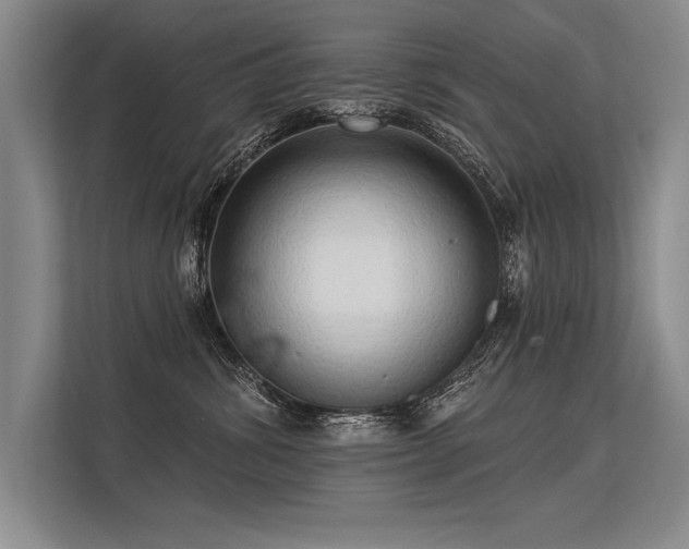 X0000113300428200909211125