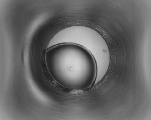 X0000113300429200909211125