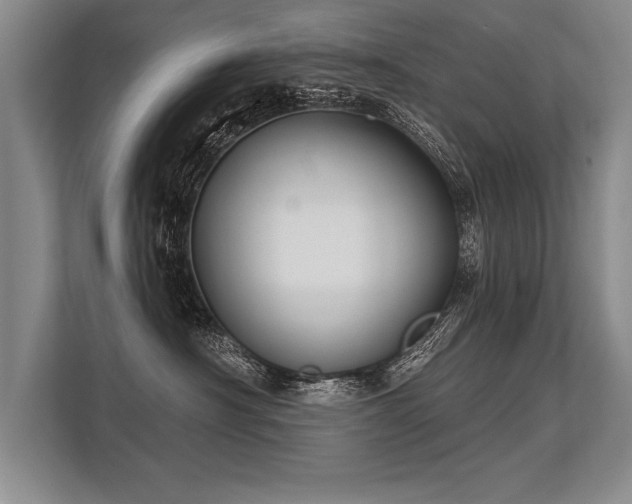 X0000113300430200909211125