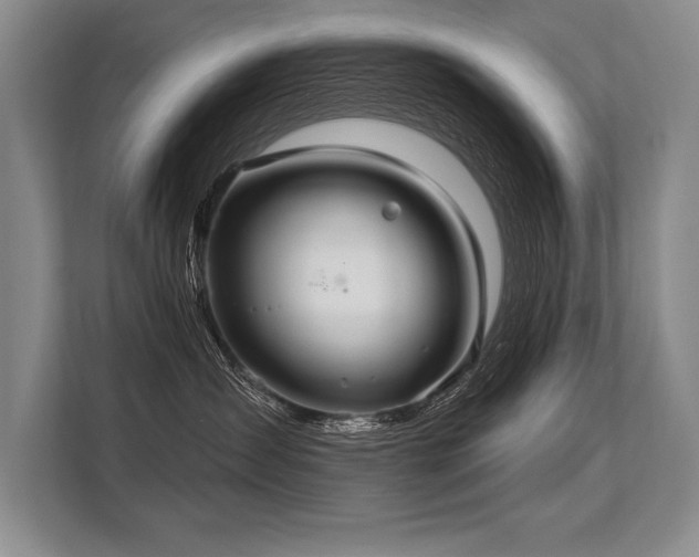 X0000113300431200909211125