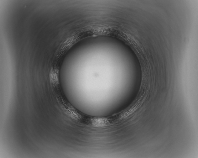 X0000113300432200909211125