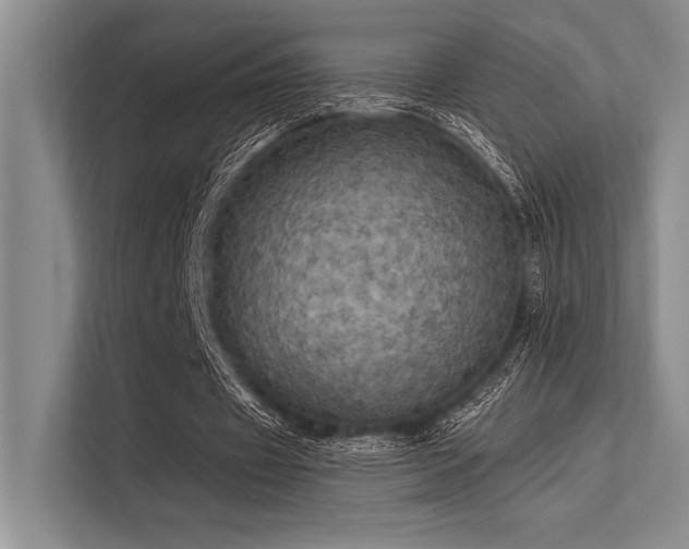 X0000113300433200909211124