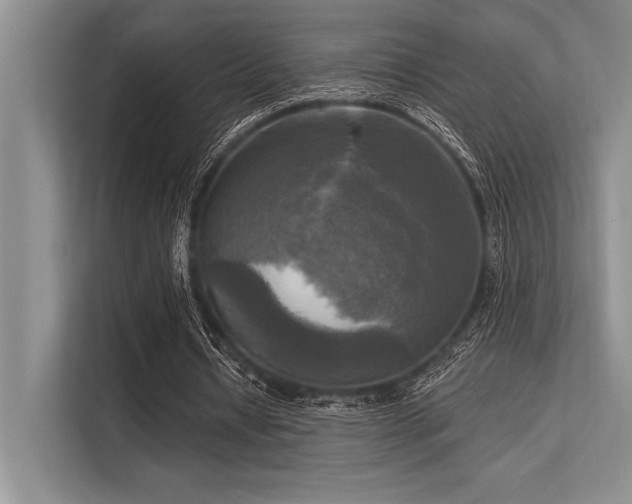 X0000113300434200909211124