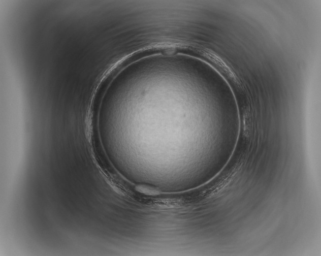 X0000113300436200909211124