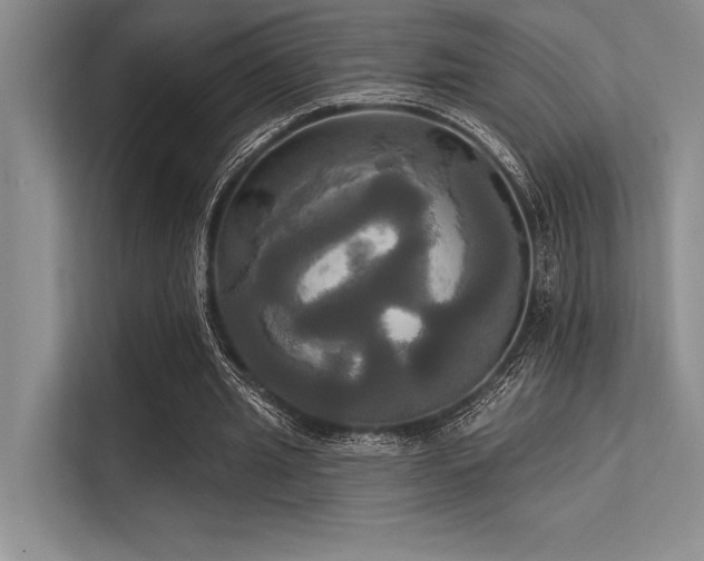 X0000113300437200909211124