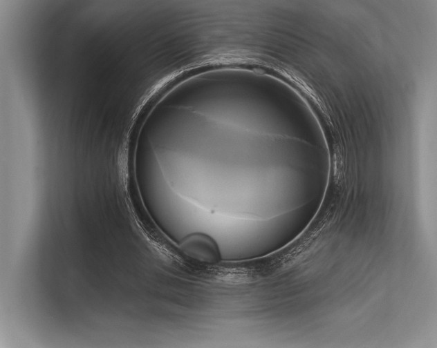 X0000113300438200909211125