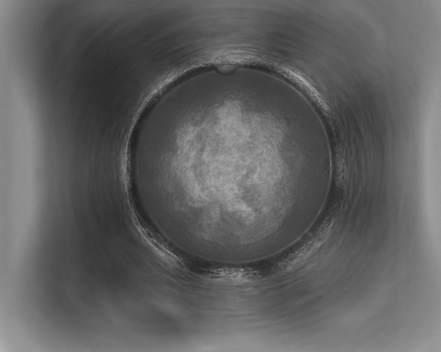 X0000113300439200909211125