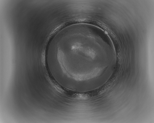 X0000113300442200909211125