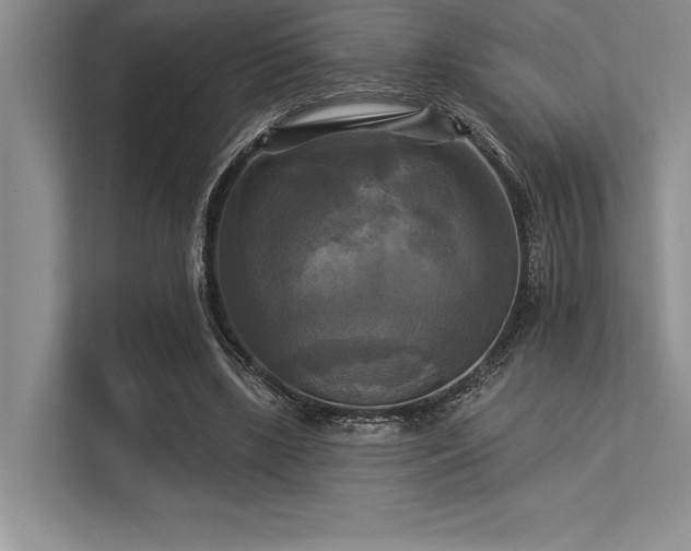 X0000113300443200909211125