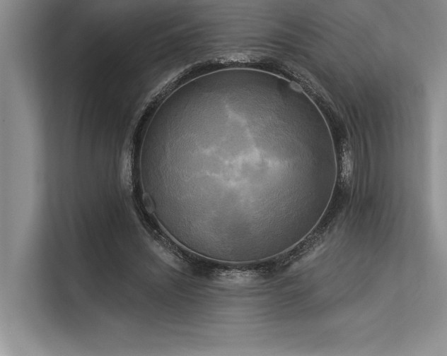 X0000113300444200909211125