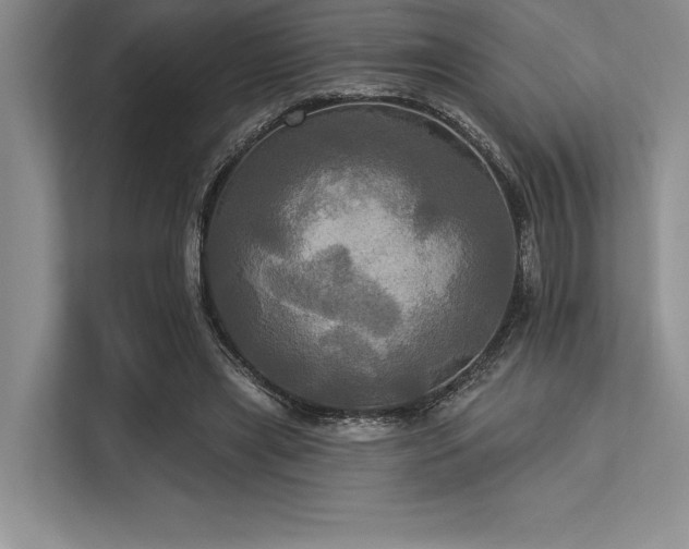 X0000113300445200909211125