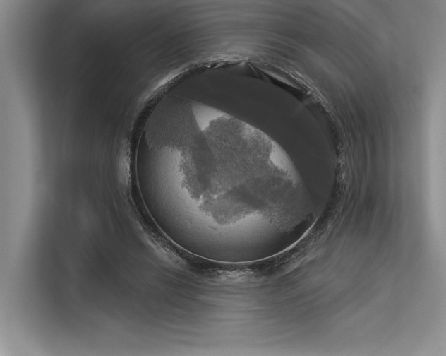 X0000113300446200909211125