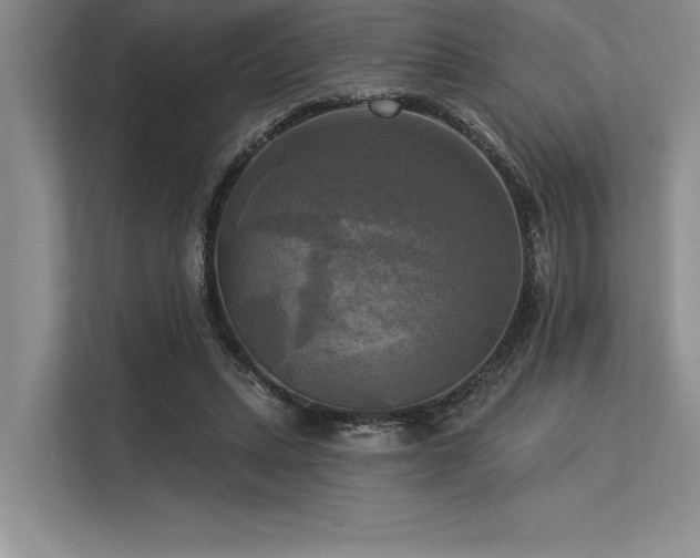 X0000113300447200909211125