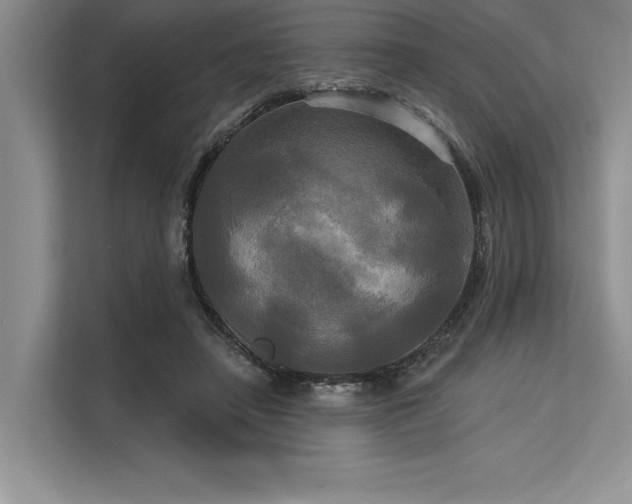 X0000113300450200909211125