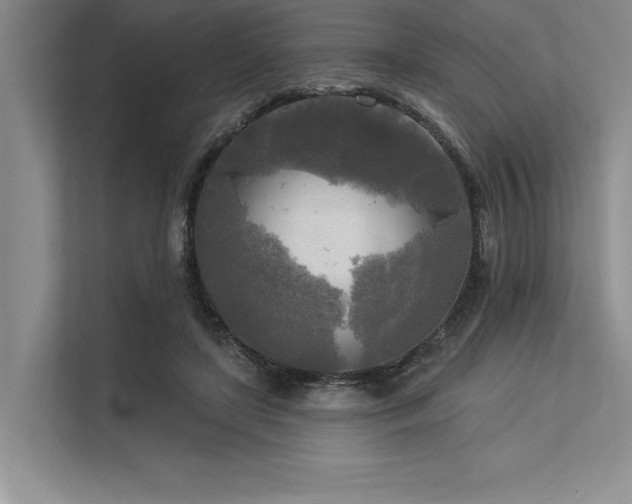 X0000113300451200909211125