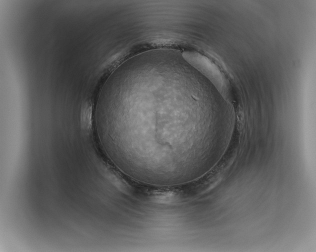 X0000113300454200909211125