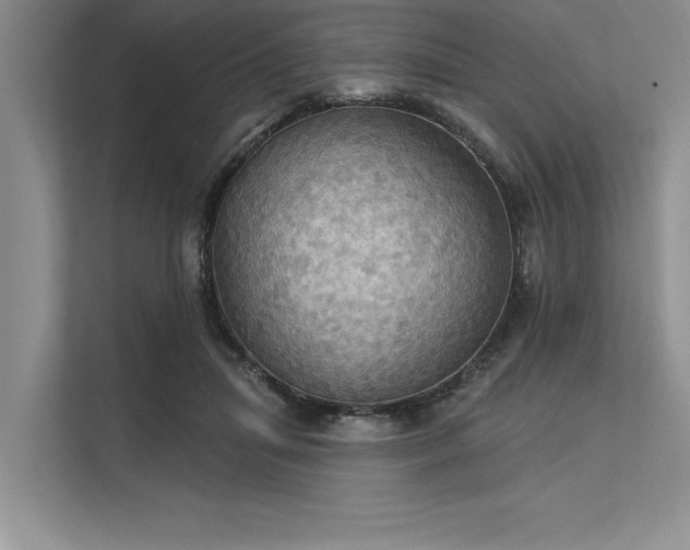 X0000113300455200909211125