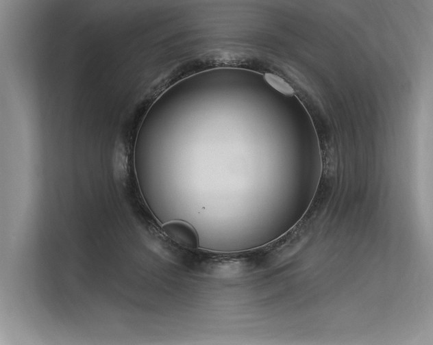 X0000113300456200909211125