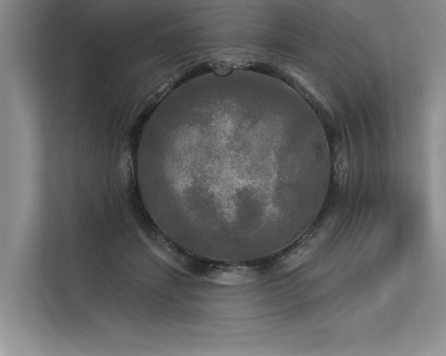 X0000113300459200909211125