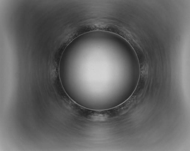 X0000113300464200909211125