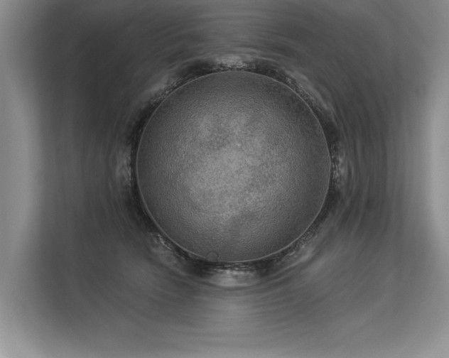 X0000113300466200909211125