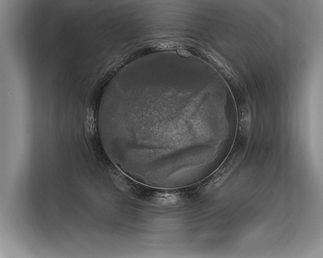 X0000113300469200909211125